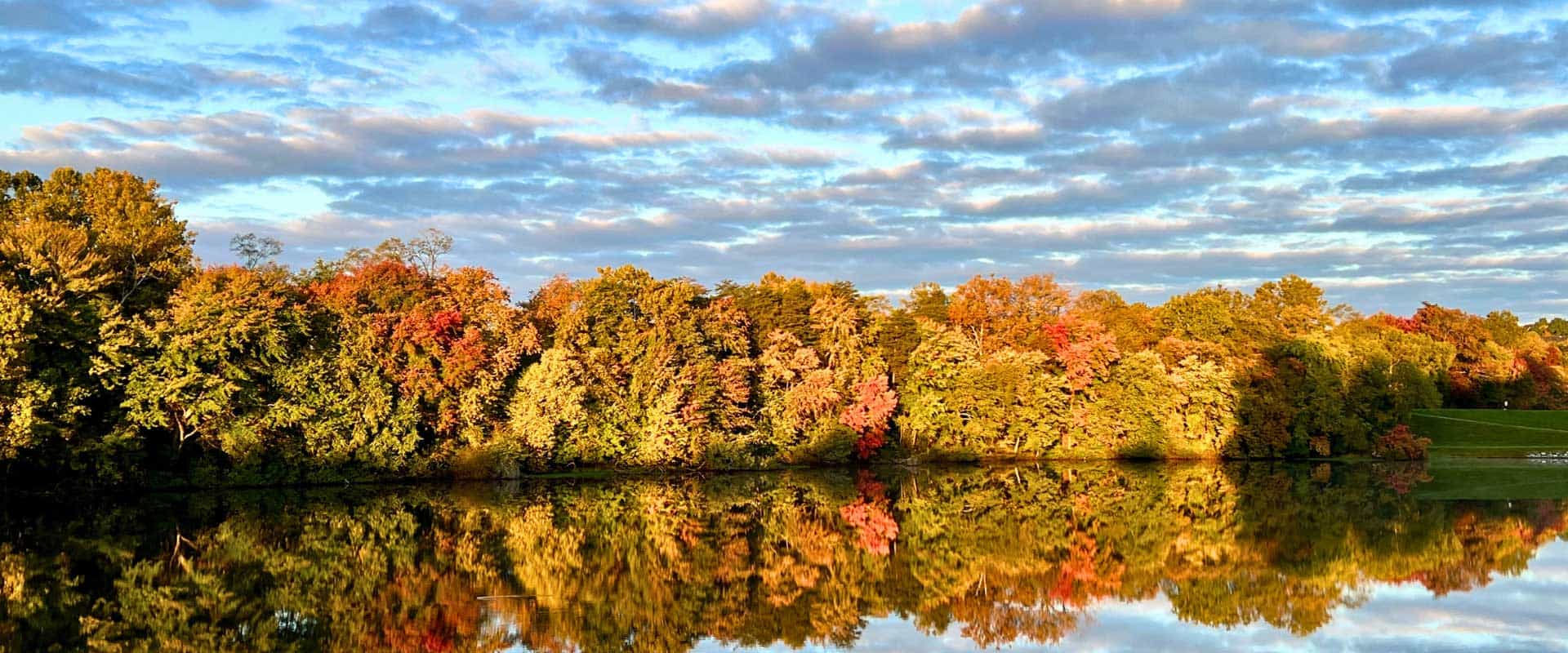 Fall foliage at the lake